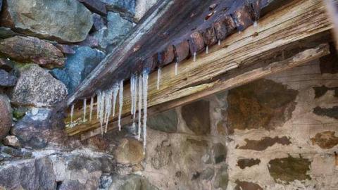 Colourful - XD5A0071.jpg