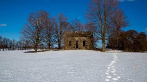 Colourful - XD5A0085.jpg