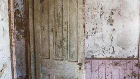 Colourful - XD5A0034_HDR.jpg