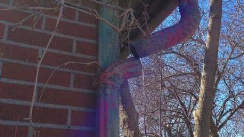 Mary's - cuimage.jpg