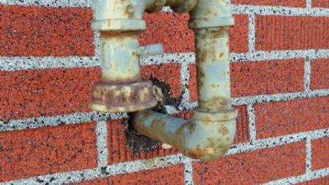 Mary's - nvimage.jpg