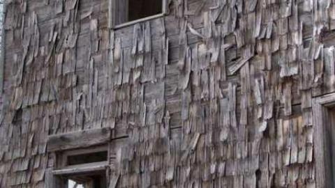 Don't Shake the Building - pr8.jpg