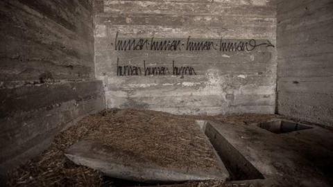 Photo from 5 Penguins of the Apocalypse