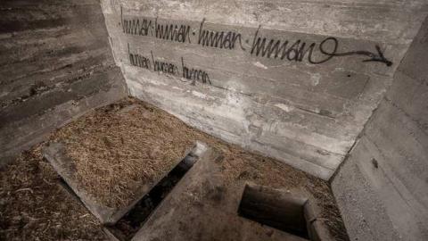 5 Penguins of the Apocalypse - Lurid-Fortification31.jpg