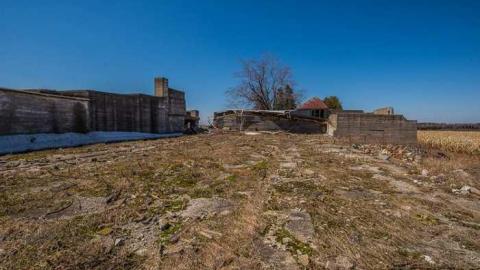 Photo from 5 Penguins of the Apocalypse