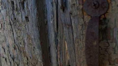 April2014 - School-Section-No.-5-Tiverton14.jpg