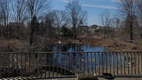 April2014 - House-In-The-Swamp59.jpg