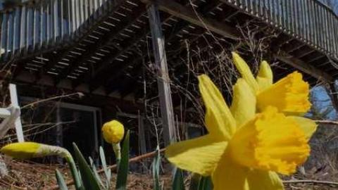 April2014 - House-In-The-Swamp69.jpg