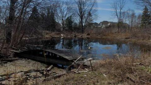 April2014 - House-In-The-Swamp70.jpg