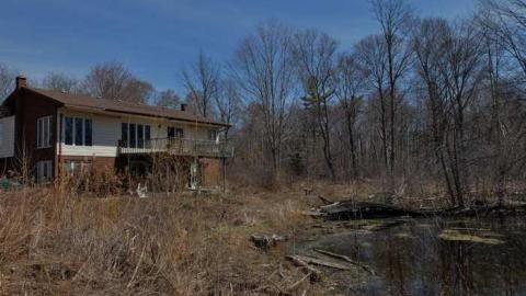 April2014 - House-In-The-Swamp72.jpg