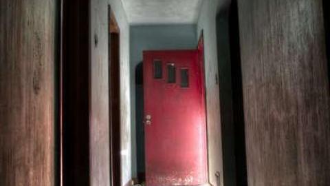 Myer's Pines photo 3