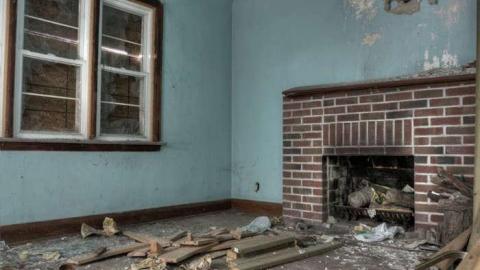 Myer's Pines photo 4