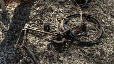 Myer's Pines - Cambridge, Ontario