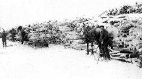 Gallery - Burwash-Correctional-Prison53.jpg