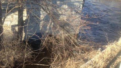 Photo from The Old Saw Mill walls