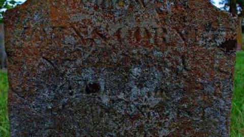 Pioneer Farmers - Sheffield-Pioneer-Cemetery-18104.jpg