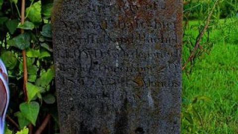 Pioneer Farmers - Sheffield-Pioneer-Cemetery-18105.jpg