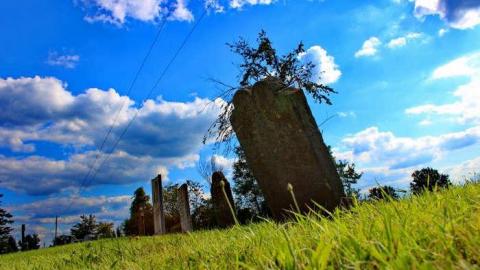 Pioneer Farmers - Sheffield-Pioneer-Cemetery-18108.jpg