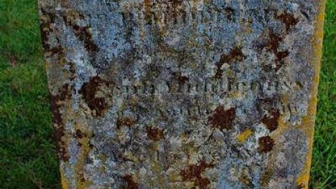 Pioneer Farmers - Sheffield-Pioneer-Cemetery-181028.jpg