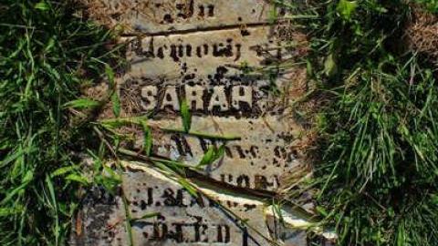 Pioneer Farmers - Sheffield-Pioneer-Cemetery-181020.jpg