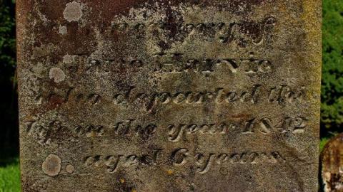 Pioneer Farmers - Sheffield-Pioneer-Cemetery-18109.jpg