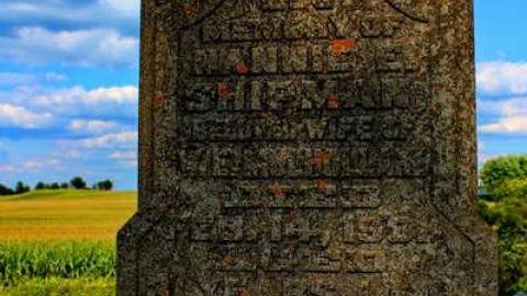 Pioneer Farmers - Sheffield-Pioneer-Cemetery-181023.jpg