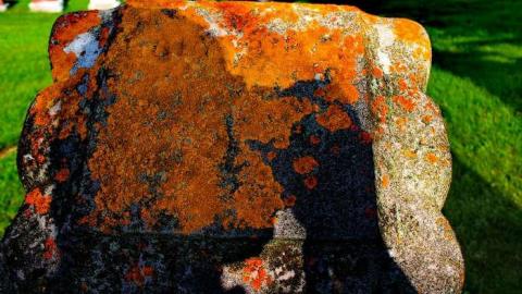 Pioneer Farmers - Sheffield-Pioneer-Cemetery-181014.jpg