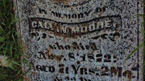 Sheffield Pioneer Cemetery 1810 photo 3