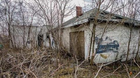 Photo from 1Boarded, 1Burnt, & 1Beer