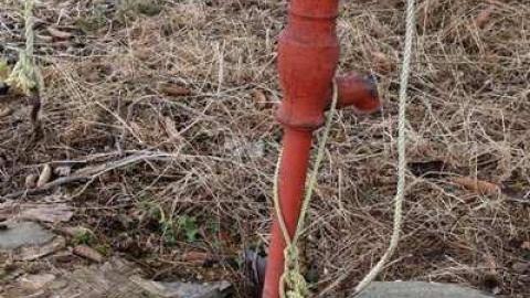 Grinder, Looking For Meat... - Dunwich-Farmhouse23.jpg