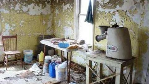 Photo from Grinder, Looking For Meat...