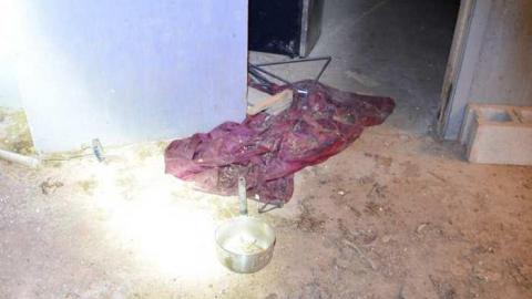 April 14 - 1470-Bronte-Road47.jpg