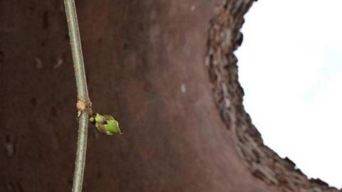 April 14 - 1470-Bronte-Road51.jpg