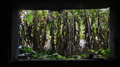 Photo from August 2013