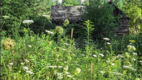 Photo from Booker Ruin