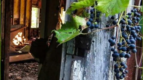 Booker Ruin - Booker Ruin 5.jpg