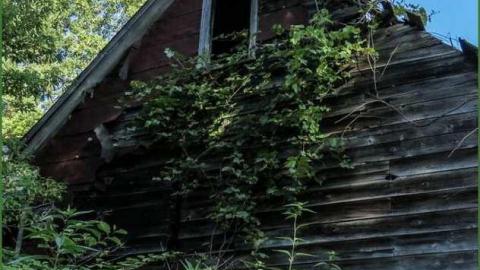 Photo from Booker Ruin