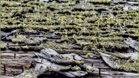 Booker Ruin - Booker Ruin 8.jpg