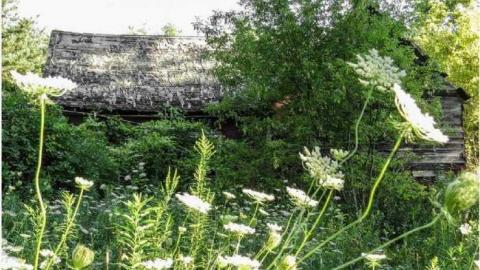 Booker Ruin - Booker Ruin 15.jpg