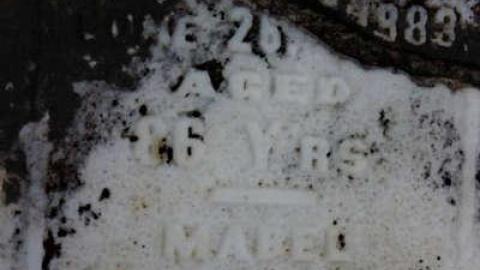 Gone Too Soon - Mt.-Hope-Tyrell-Pioneer-Cemetery10.jpg