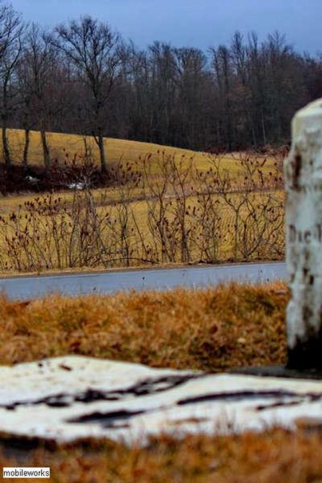 Mt. Hope Tyrell Pioneer Cemetery - Norfolk County, Ontario