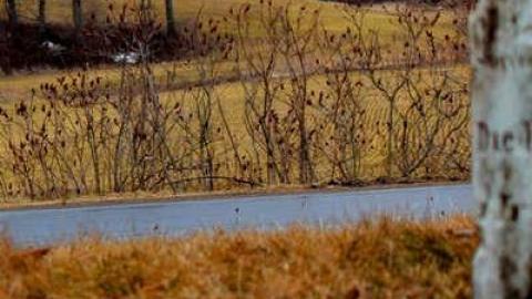 Gone Too Soon - Mt.-Hope-Tyrell-Pioneer-Cemetery4.jpg