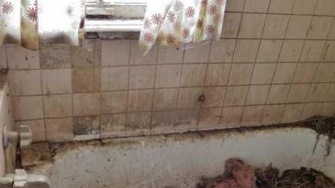 Grinding Out a Gallery - Dunwich-Farmhouse43.jpg