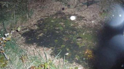 Mini Putt - PA200116.jpg