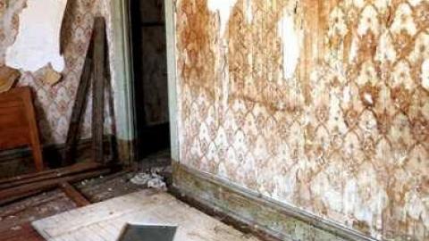 Photo from Grinding Out a Gallery