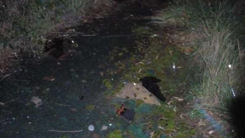 Mini Putt - PA200118.jpg