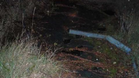 Mini Putt - PA200119.jpg