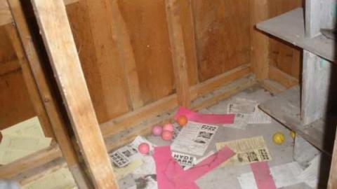 Mini Putt - PA200129.jpg