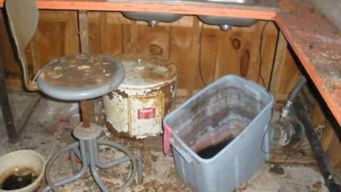 Mini Putt - PA200131.jpg