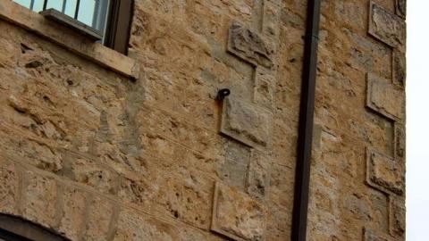 School on the Hill - Dickson-Public-School-187613.jpg